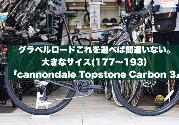 セオサイクル