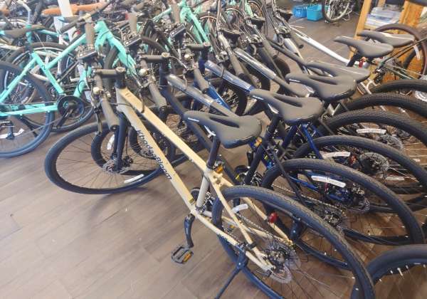 蓮だ自転車 セオサイクル