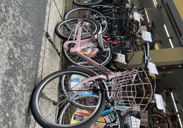 セオサイクル