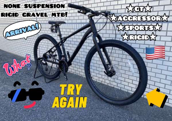 GT社製　MTB サイズS マットブラック GT マウンテンバイク(MTB)｜自転車車体｜自転車｜車、バイク