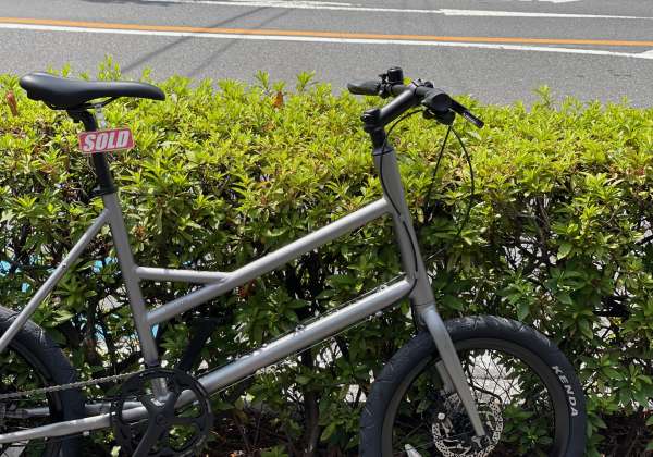 No.138 RITEWAY (ライトウェイ) GLACIER (グレイシア) ミニベロ 20