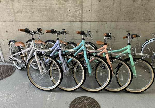 蓮だ自転車 セオサイクル