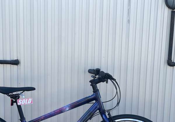 Marin Bikes | 2024 Rift Zone 29