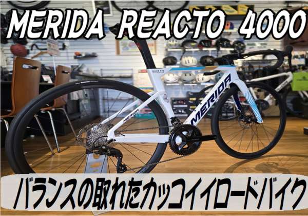 セオサイクル