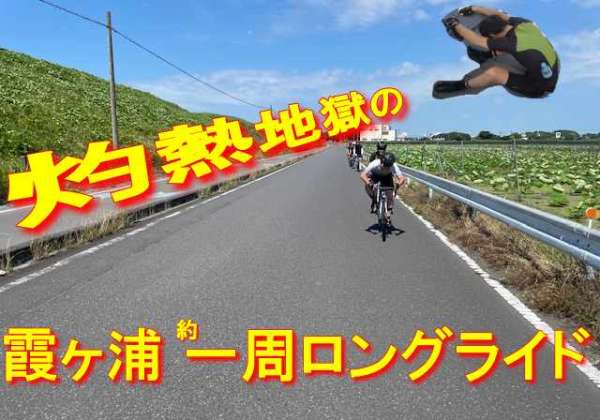 STRIDER 12 直接受取可能な方（千葉県船橋市近辺） STRIDER 12 直接受取可能な方（千葉県船橋市近辺）