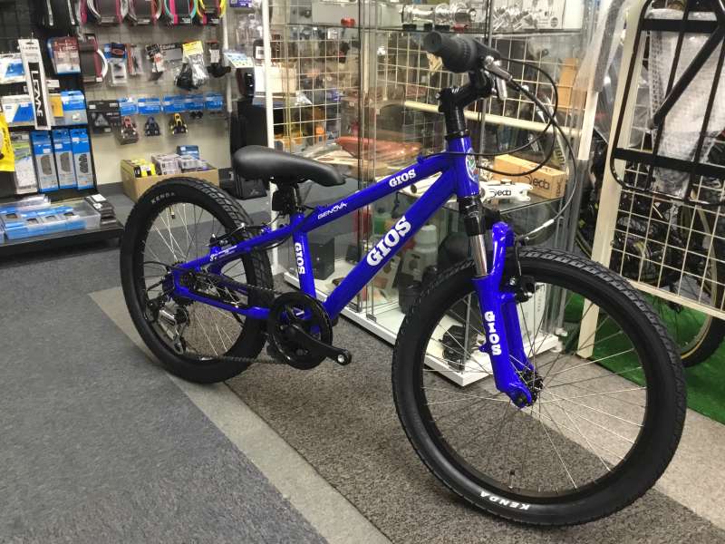 自転車本体 GIOS ジオス・トリノ・エリダニア・シクロクロス・グラベル自転車