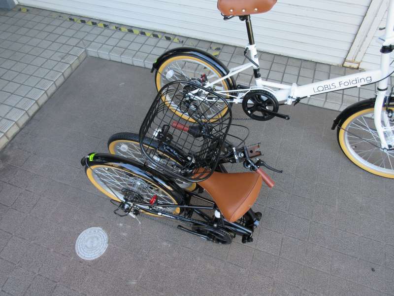 ダイニチ LORIS FOLDING オートライト 6段変速 20インチ