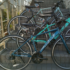 セオサイクル