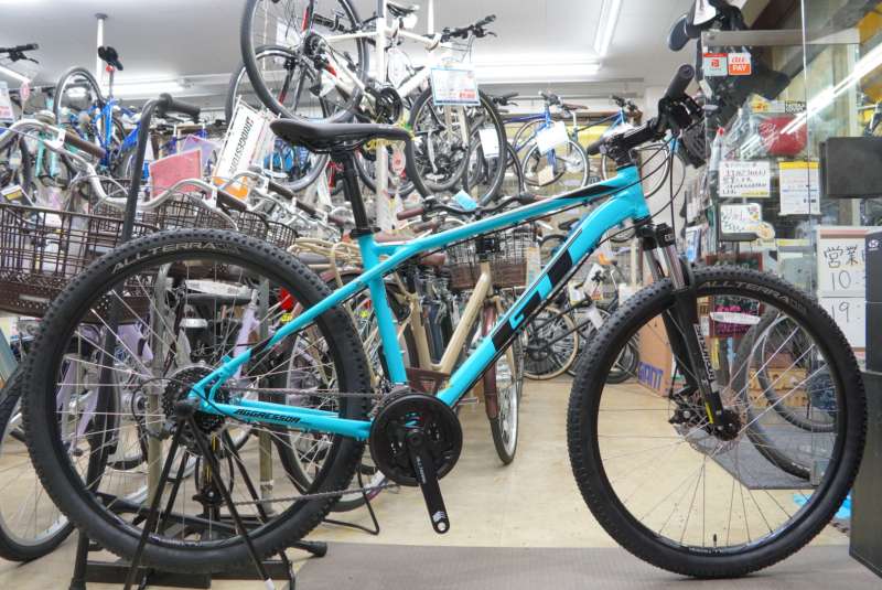 PanasonicビビBE-ELD433RGT「ジーティー」 AGGRESSOR PRO 2022年モデル