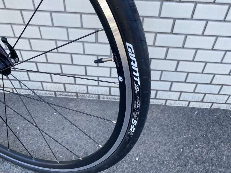 zungoo CCT ジャイヤント リレー自転車 SunSun公式｜G-Cruiser20