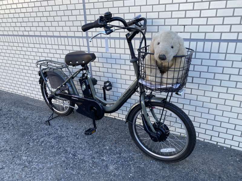 MAX50km 電動自転車 750W48v20ah