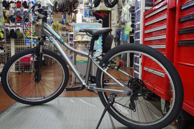 【希少】GIANT Liv マウンテンバイク 20インチ サスペンション付き Full Suspension Mountain Bikes for Women | Women's Full