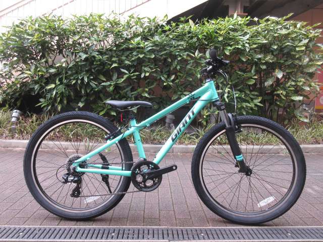 GIANT SNAP S 430 ミントグリーン - 自転車本体