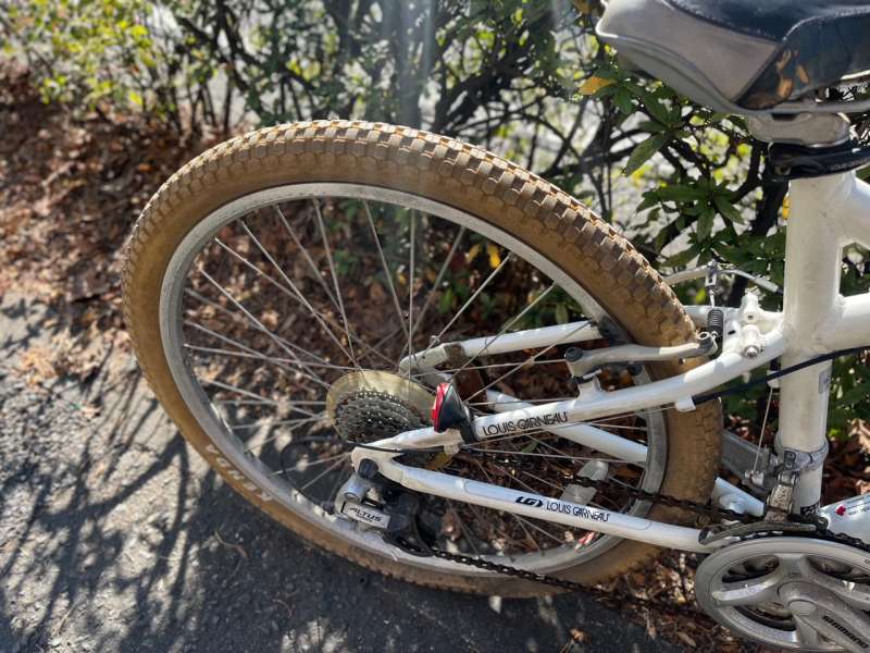 セオサイクル