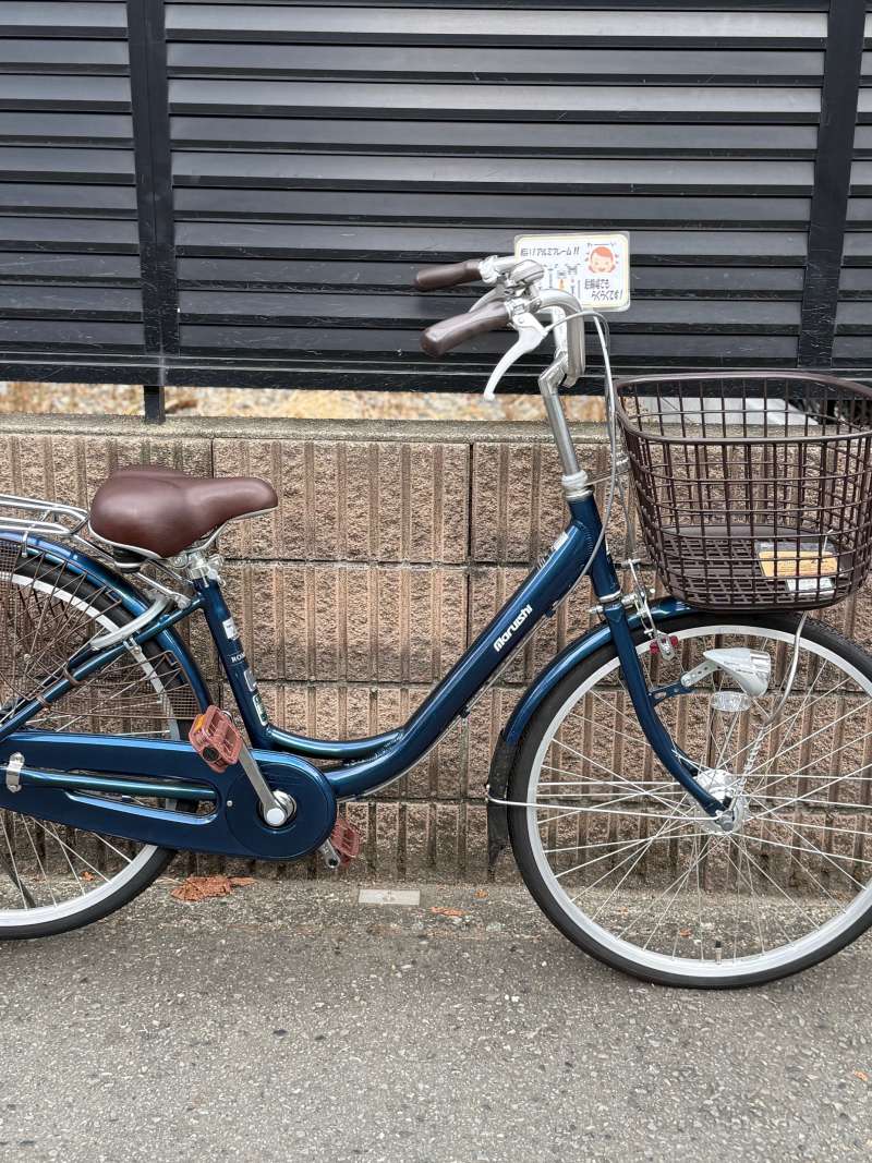 セオサイクル