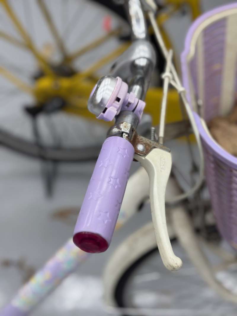 ホワイト スチールフレーム 小径自転車 ミニベロ（小径車） スポーツ車 cyma(サイマ) Michikusa