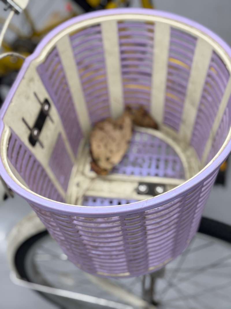 ‼️タイムセール‼️ 青 シティサイクル 前バスケット付き cityv_prm_main.jpg