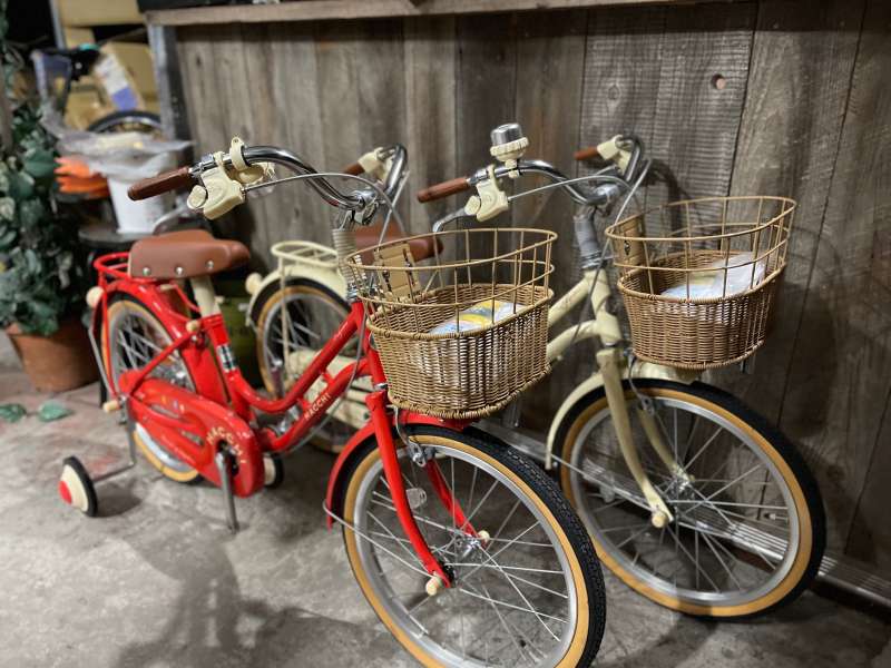 セオサイクル