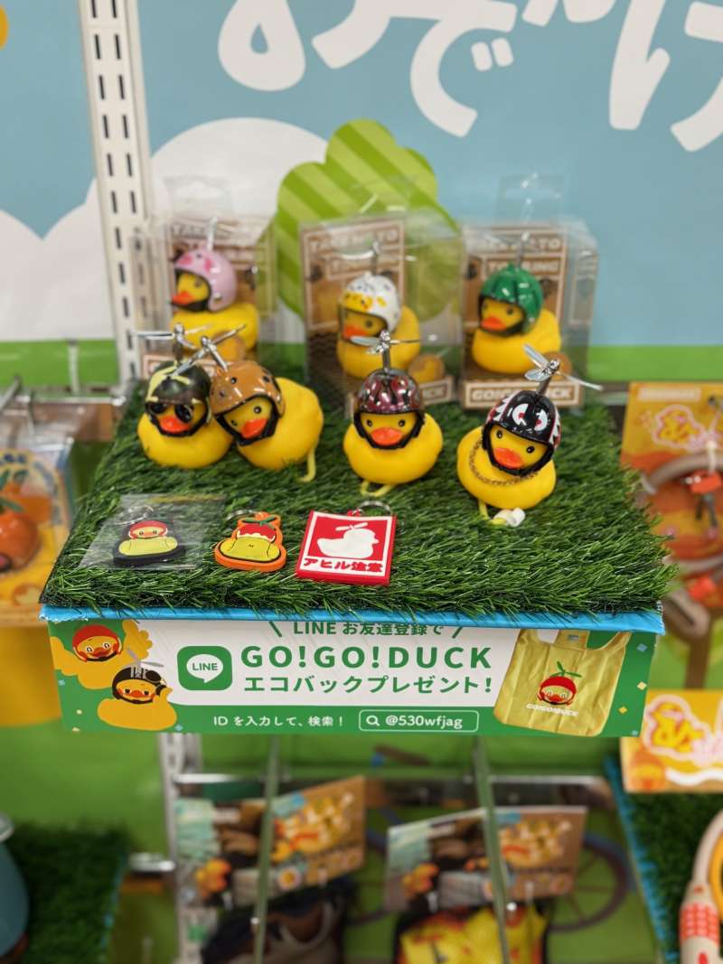 《レア》Burley　MyKick　ピンク　バーレー　プレミアム　バランスバイク 楽天市場】ピンク（キックバイク・ランニングバイク｜乗用玩具・三輪車