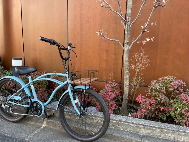 セオサイクル ビーチクルーザー Wanp 24