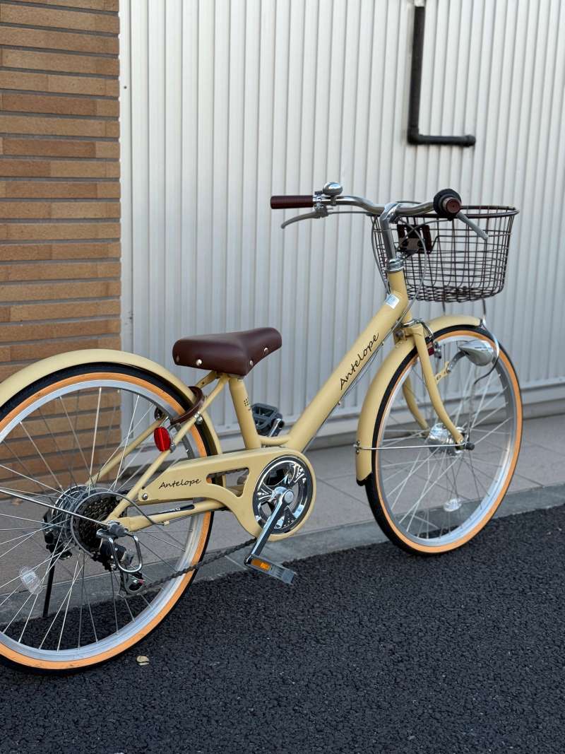 よこぴー セオサイクル