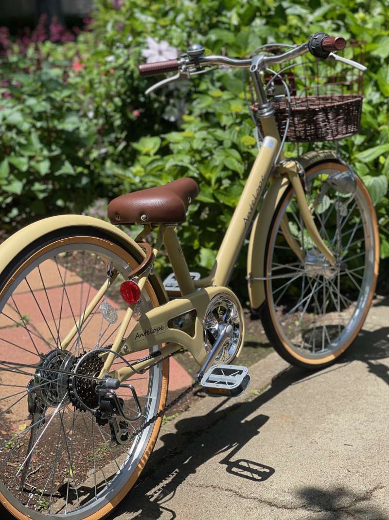 セオサイクル