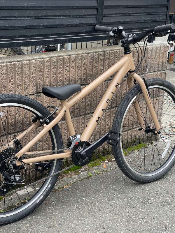 セオサイクル