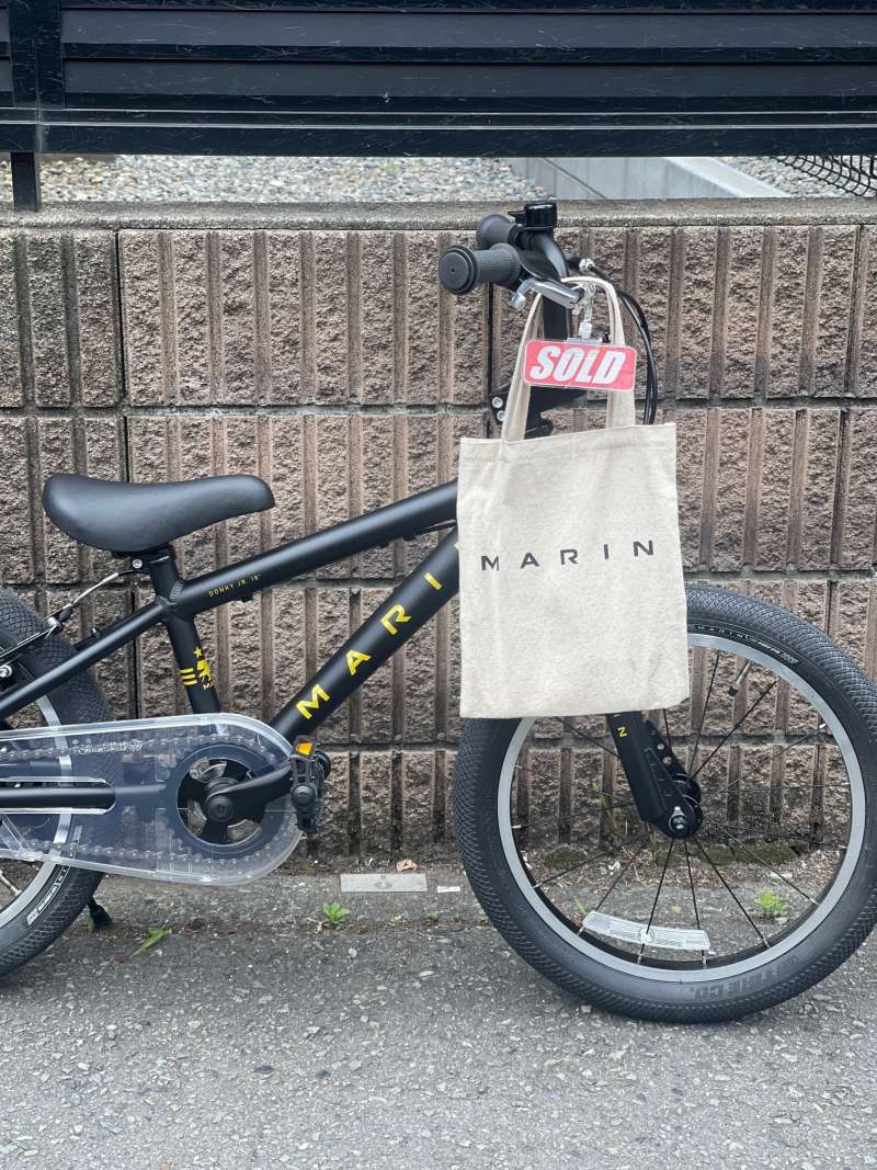 LOUIS GARNIER キッズバイク グリーン22インチ　受け渡し横浜市内 LOUIS GARNIER キッズバイク グリーン22インチ 受け渡し横浜市内