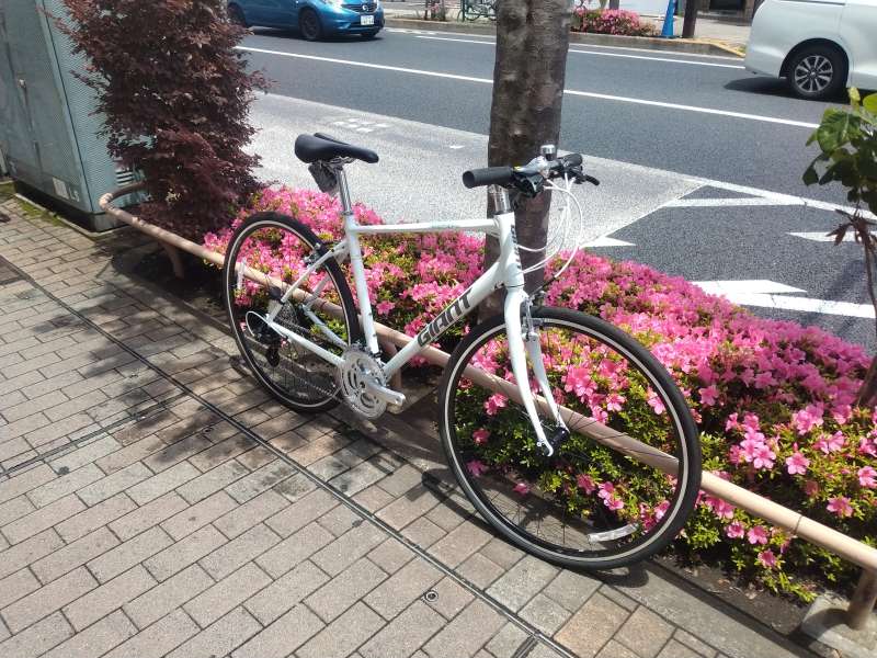 エスケープR3】新春SALE❗️新車❗️2022最新モデル❗️シマノ