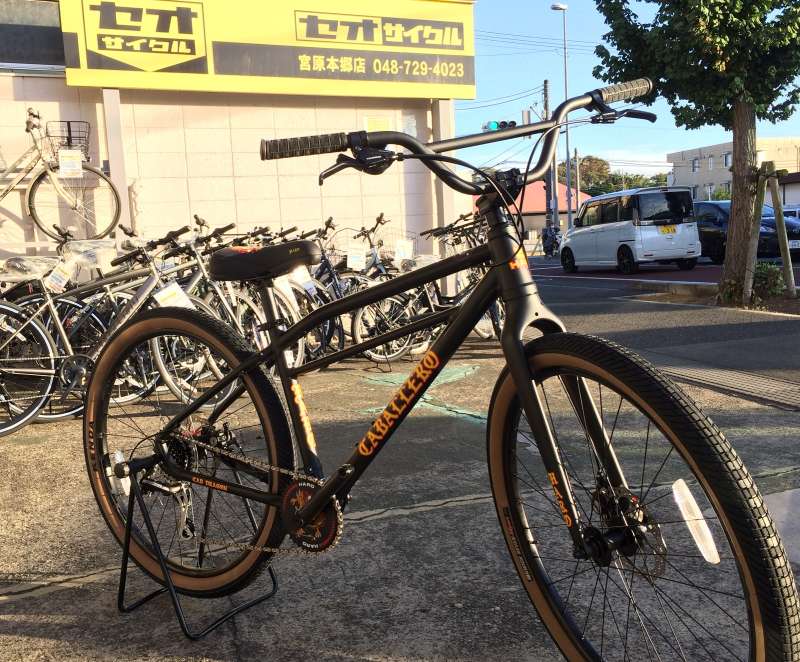 セオサイクル