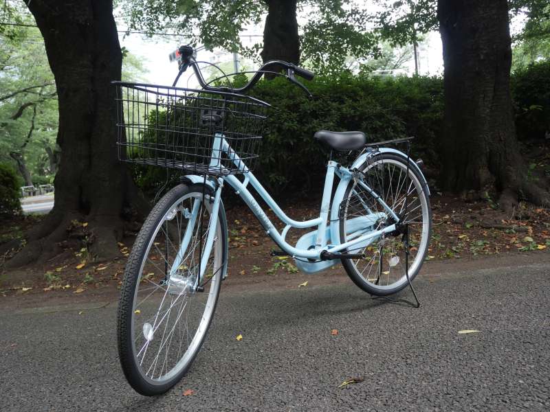 ナオ26.5cm 01018771.JPG