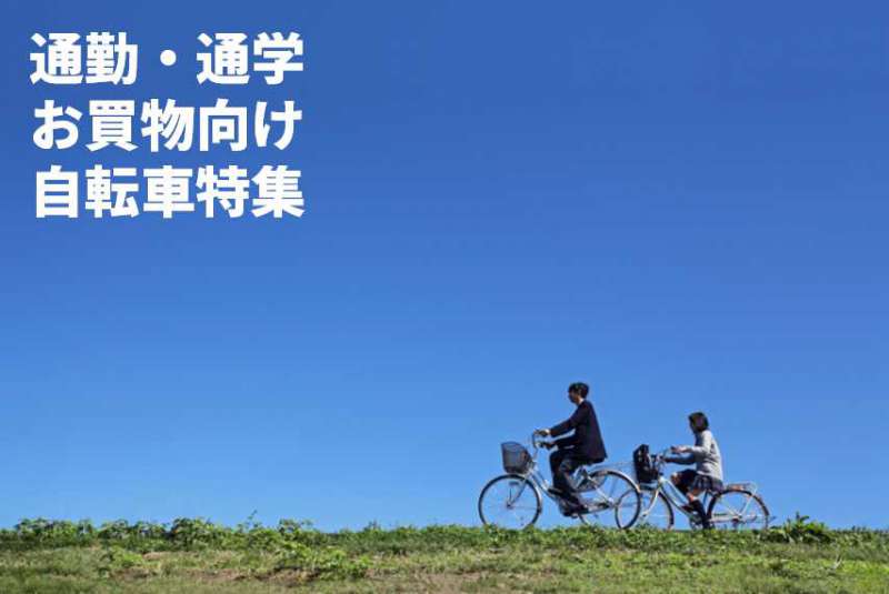 セオサイクル