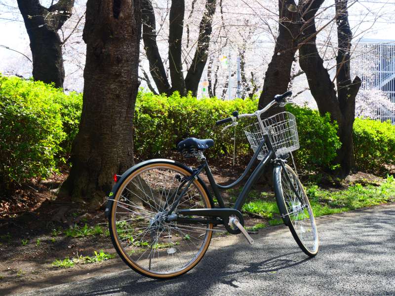 セオサイクル