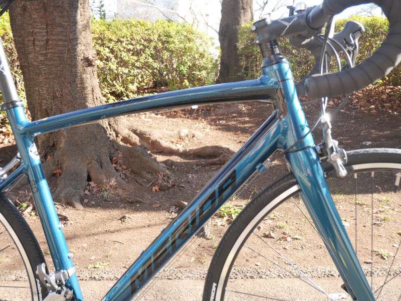 セオサイクル