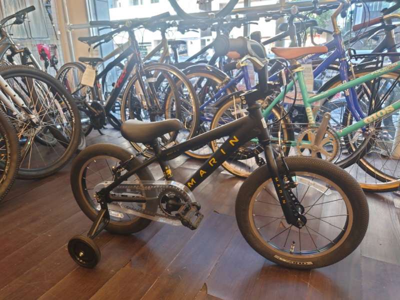 セオサイクル